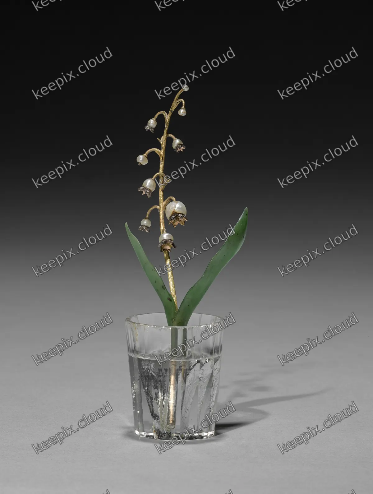 Flower Study of a Lily of the Valley