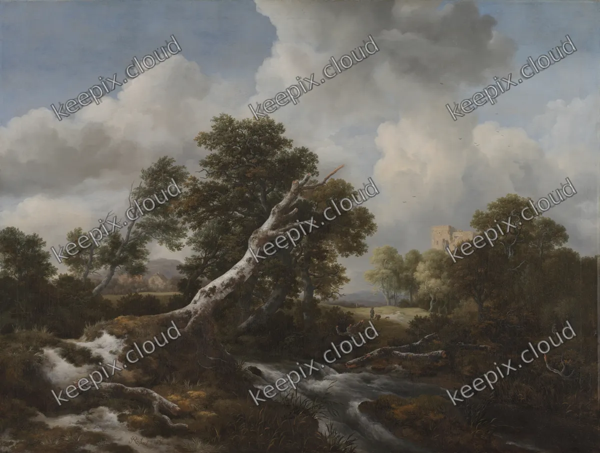 Low Waterfall in a Wooded Landscape with a Dead Beech Tree