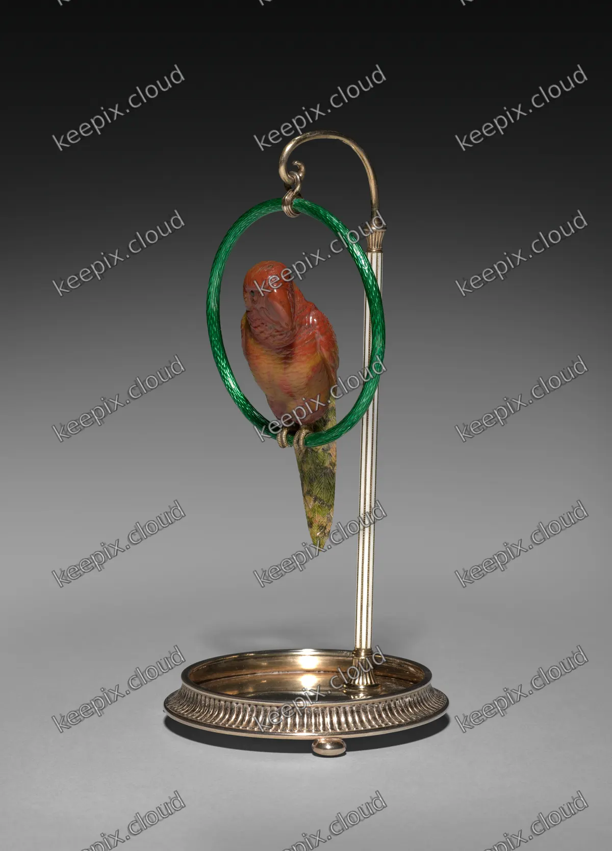 Parrot on a Perch