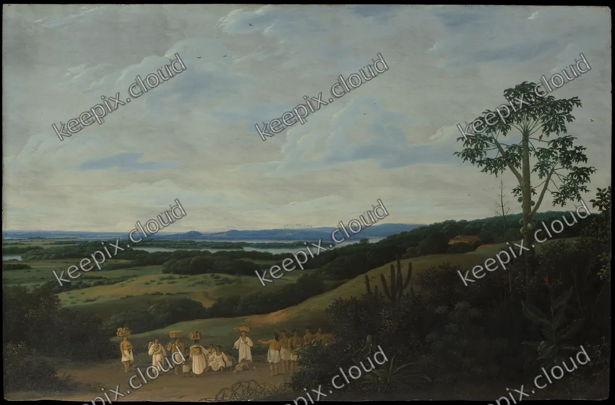 A Brazilian Landscape