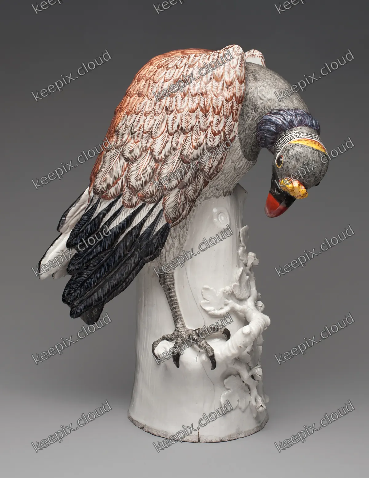 King Vulture